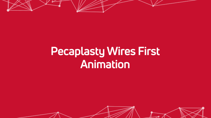 Pecaplasty Wires First Animation